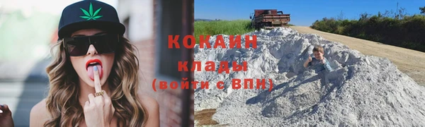 шишки Аркадак