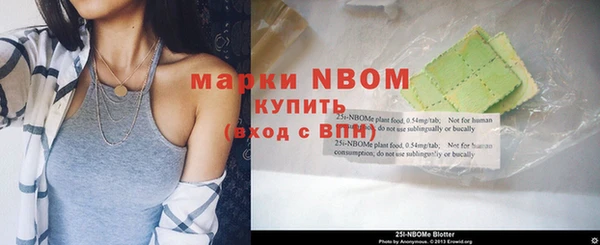 шишки Аркадак