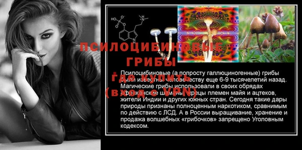 герыч Арсеньев
