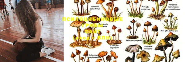 не бодяженный Армянск