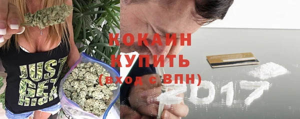 шишки Аркадак